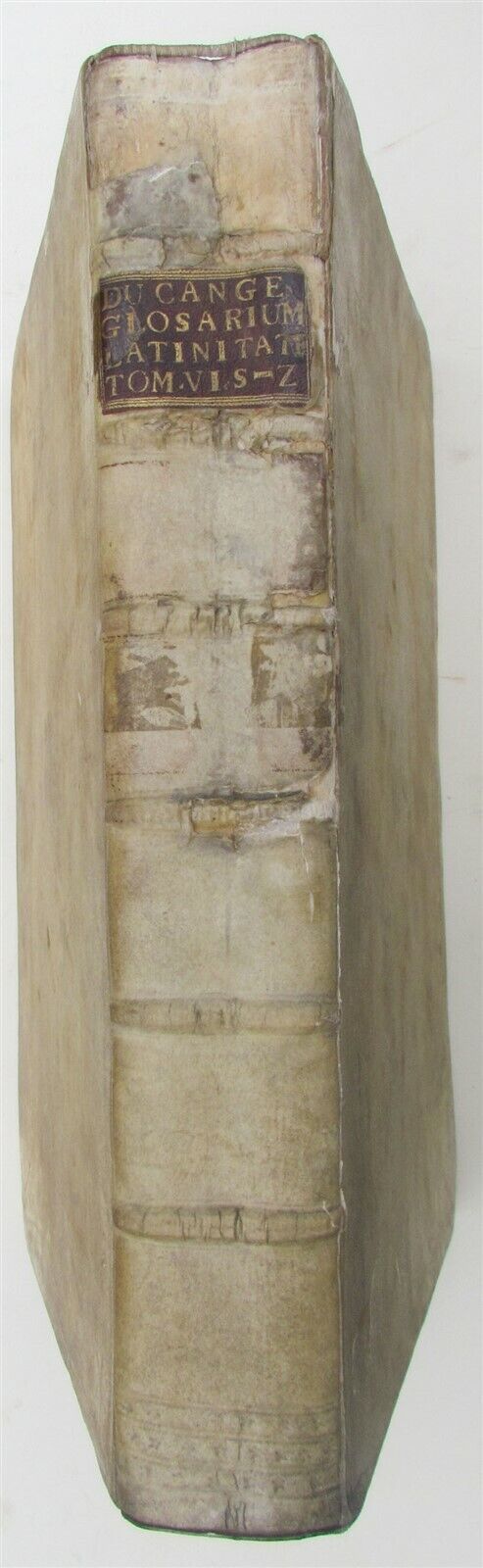 1736 BLIND STAMPED VELLUM BINDING MASSIVE FOLIO Glossarium ad Scriptores ANTIQUE