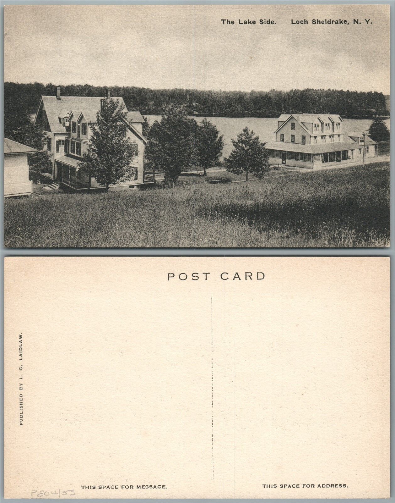 LOCH SHELDRAKE N.Y. FALLSBURG SULLIVAN COUNTY LAKE SIDE ANTIQUE POSTCARD