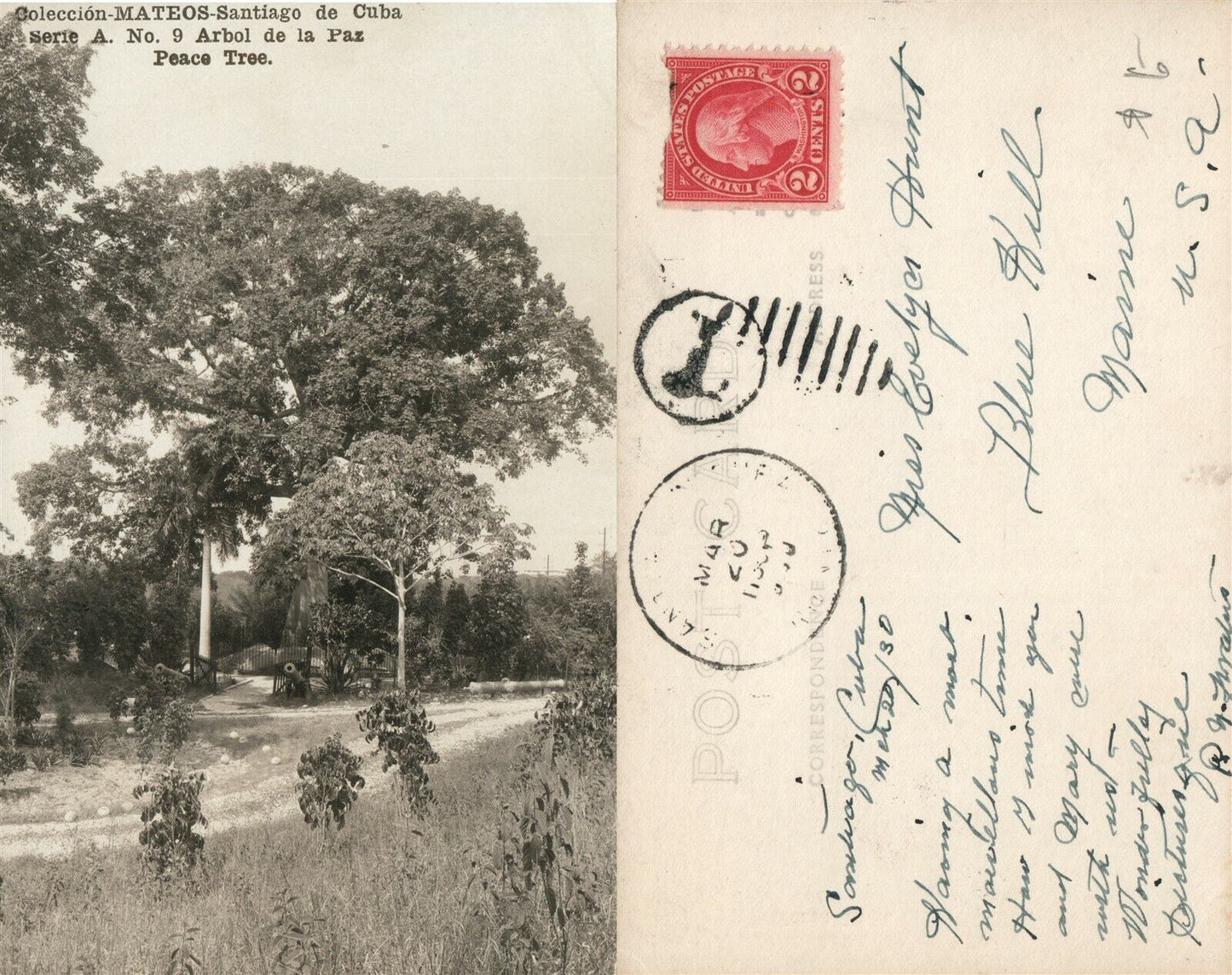 ANTIAGO DE CUBA PEACE TREE ANTIQUE REAL PHOTO POSTCARD RPPC w/ CORK STAMP