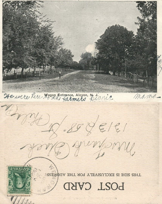 ALCYON N.J. WAGON ENTRANCE UNDIVIDED ANTIQUE POSTCARD