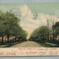 ORIENT NY MAIN STREET ANTIQUE POSTCARD