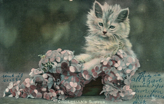 CINDERELLA'S SLIPER PLAYING CAT ANTIQUE POSTCARD by TUCK