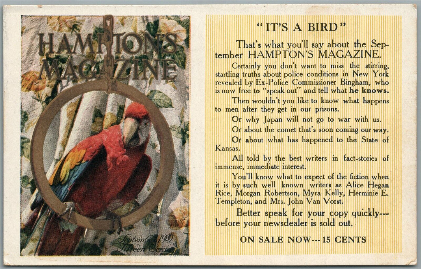 HAMPTON MAGAZINE ANTIQUE POSTCARD IT'S A BIRD