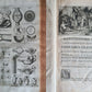 1716 ROMAN ANTIQUITIES ILLUSTRATED 3 VOLS Thesaurus Antiquitatum antique FOLIO