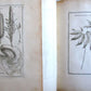 1700 BOTANY ILLUSTRATED 3 VOLUMES TOURNEFORT INSTITUTIONES REI HERBARIAE antique