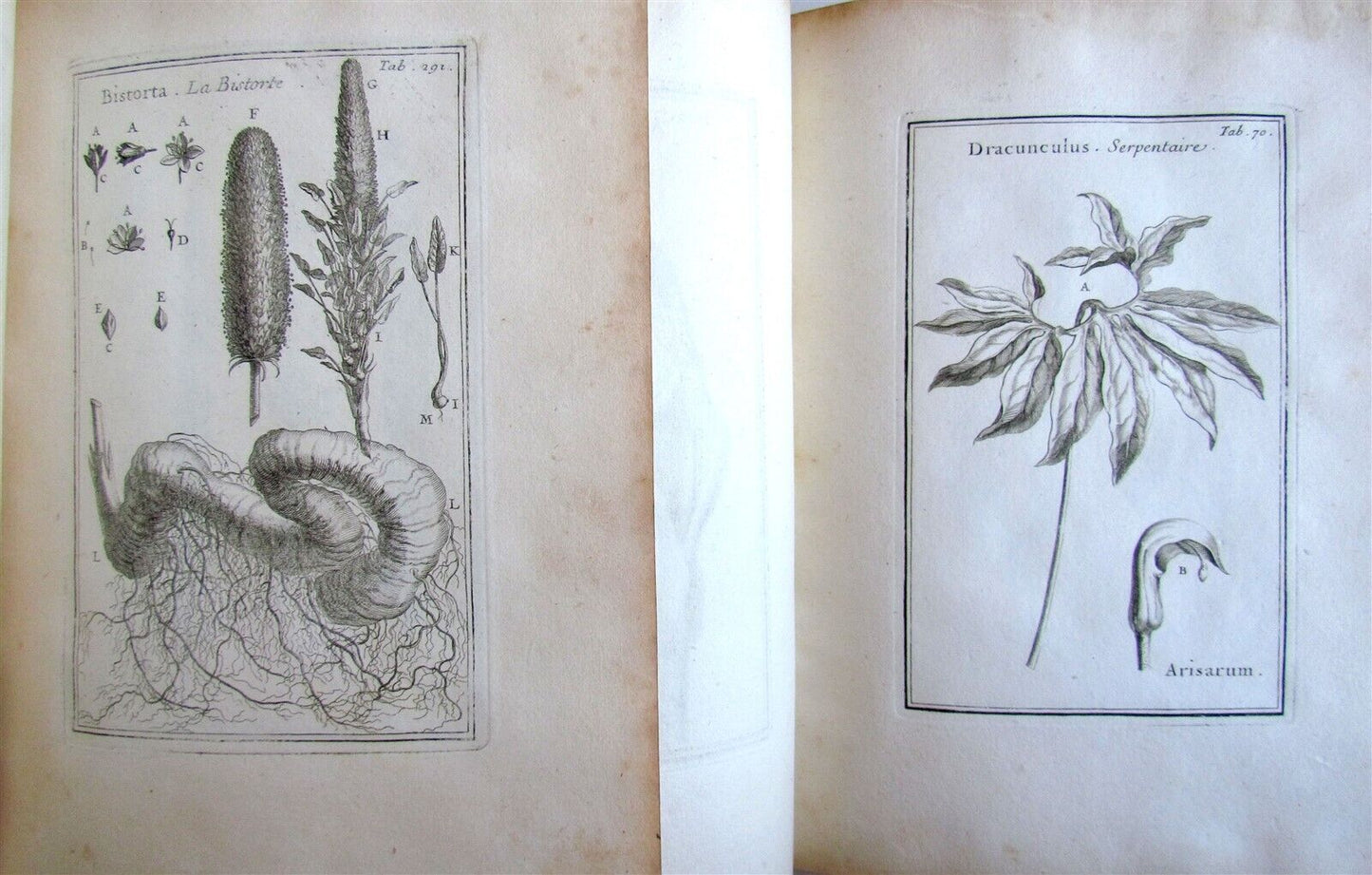 1700 BOTANY ILLUSTRATED 3 VOLUMES TOURNEFORT INSTITUTIONES REI HERBARIAE antique