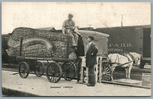 SUMMER SQUASH EXAGGERATED WELLS FARGO EXPRESS RAILWAY STATION ANTIQUE POSTCARD