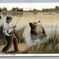 EXAGGERATED FISHING ANTIQUE POSTCARD FIRST ONE I LANDED