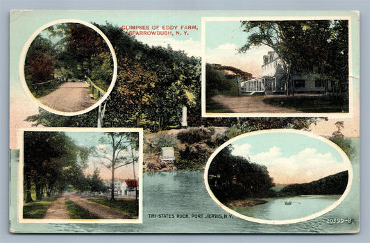 SPARROWBUSH NY GLIMPSES OF EDDY FARM ANTIQUE POSTCARD