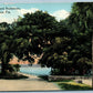 DAYTONA FL OCEAN BOULEVARD SEABREAZE ANTIQUE POSTCARD