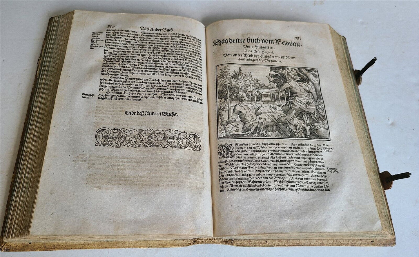 1580 ILLUSTRATED by Tobias Stimmer & J. Amman FOLIO antique HUNTING FALCONRY