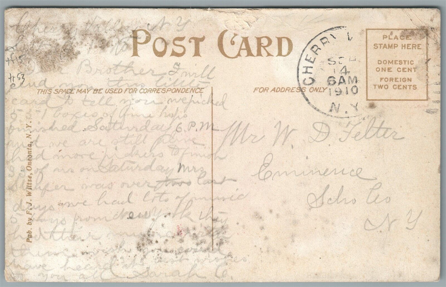 ROSEBOOM NY SCENES ANTIQUE POSTCARD