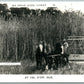 VAL D'OR QUEBEC CANADA EXAGGERATED WHEAT VINTAGE REAL PHOTO PC RPPC FARMING