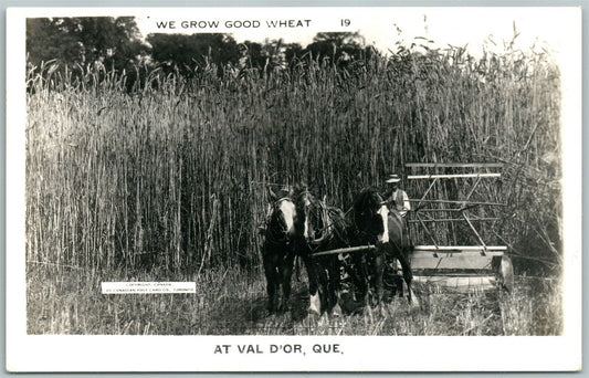 VAL D'OR QUEBEC CANADA EXAGGERATED WHEAT VINTAGE REAL PHOTO PC RPPC FARMING