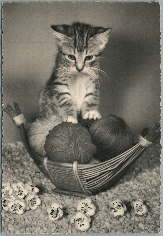 KITTEN w/ THREADS VINTAGE REAL PHOTO POSTCARD RPPC