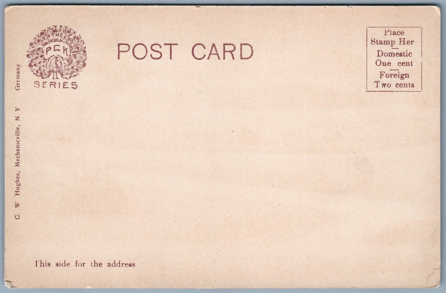 MECHANICVILLE NY TALLMADGA PARK UNDIVIDED ANTIQUE POSTCARD