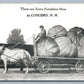 CONCORD NH EXAGGERATED PUMPKINS on HORSE DRAWN CART ANTIQUE POSTCARD