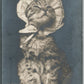 DRESSED CAT DOLLY DIMPLE ANTIQUE REAL PHOTO POSTCARD RPPC