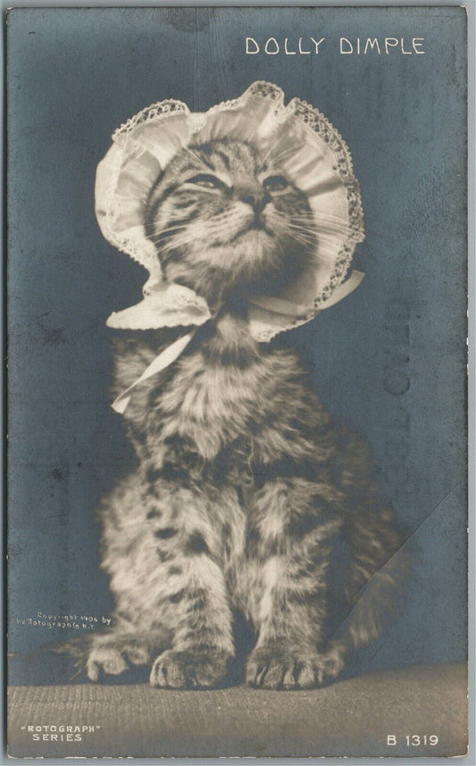 DRESSED CAT DOLLY DIMPLE ANTIQUE REAL PHOTO POSTCARD RPPC