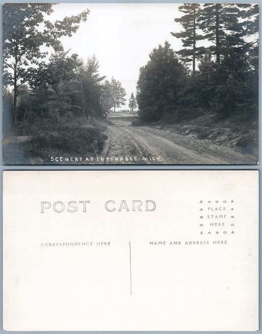 TOPINABEE MI SCENERY VINTAGE REAL PHOTO POSTCARD RPPC