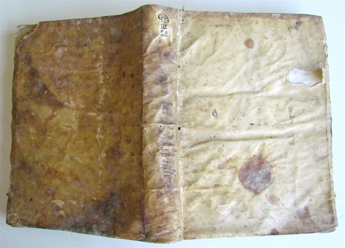 1607 DISCORSI DEL P.GREGORIO MASTRILLI DELLA COMPAGNIA DI GIESU antique VELLUM