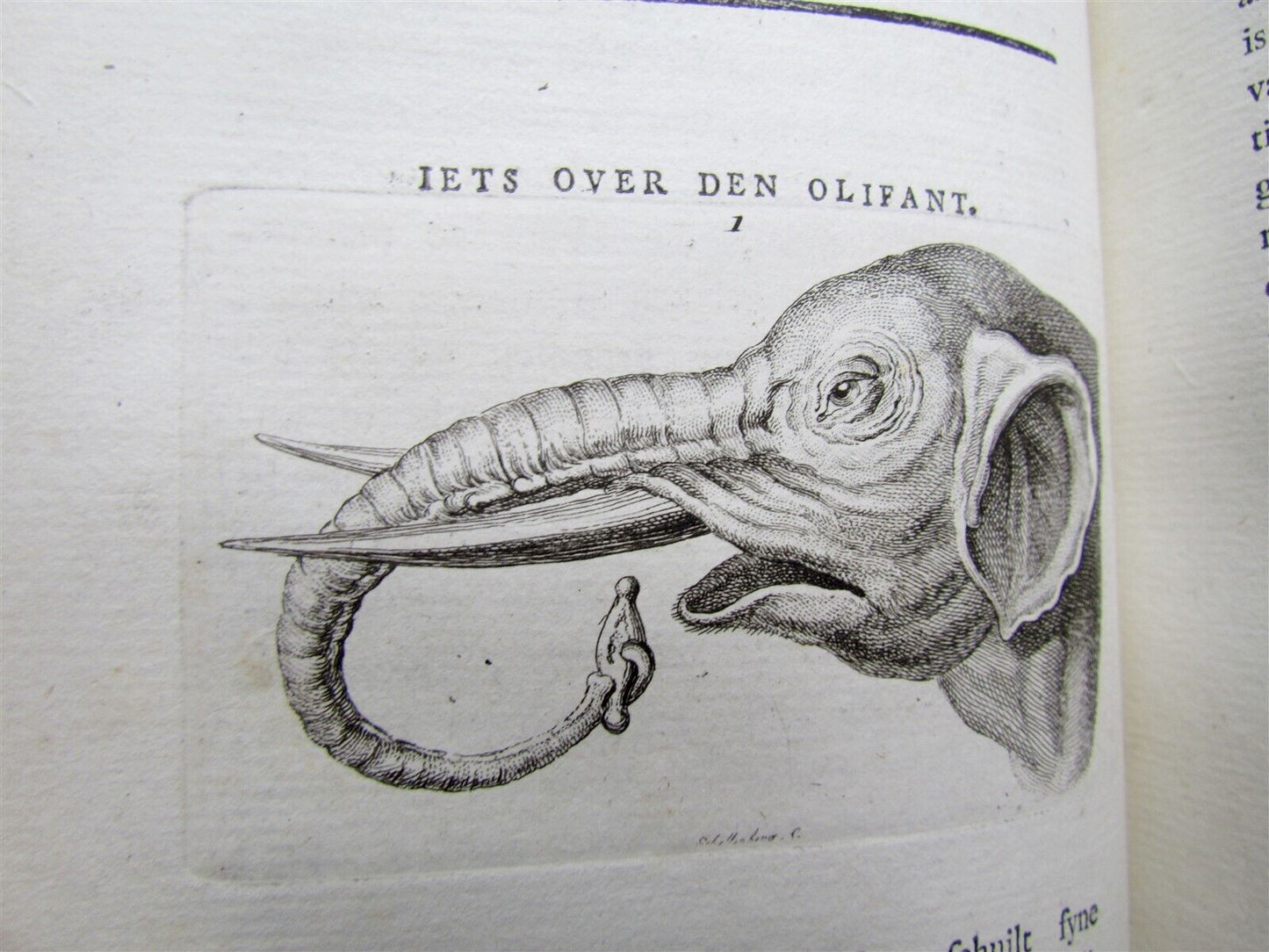 1781 4 volumes PHYSIOGNOMY ILLUSTRATED 18th century antique set