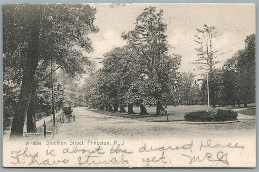 PRINCETON NJ STOCKTON STREET ANTIQUE POSTCARD