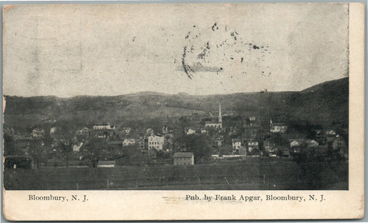 BLOOMSBURY NJ BIRDS EYE VIEW ANTIQUE POSTCARD