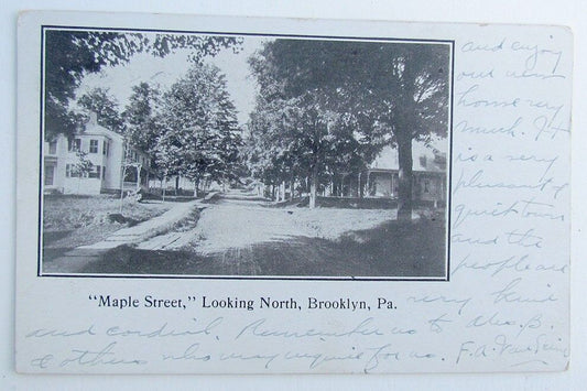 VINTAGE 1912 POSTCARD MAPLE STREET LOOKING NORTH BROOKLYN PA