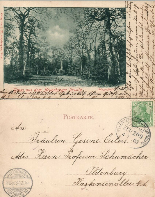 GRUSS AUS DEM NEUENBURGER URWALD SANGENPLATZ GERMANY ANTIQUE POSTCARD