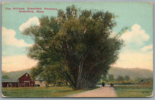 GREENFIELD MA THE WILLOWS ANTIQUE POSTCARD
