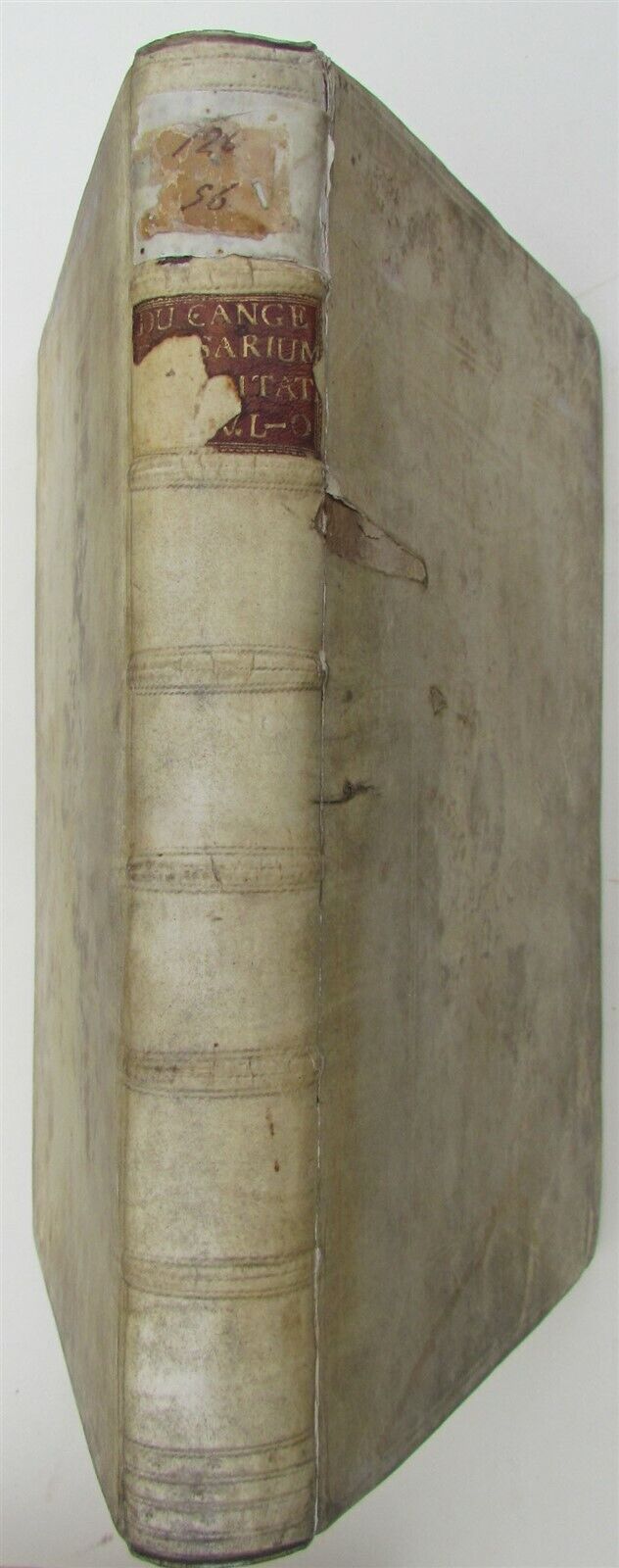 1733 BLIND STAMPED VELLUM BINDING MASSIVE FOLIO Glossarium ad Scriptores ANTIQUE