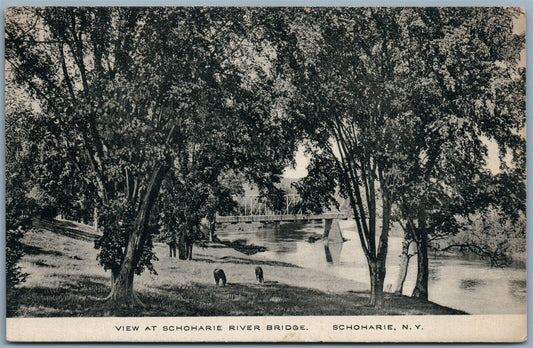SCHOHARIE NY RIVER BRIDGE ANTIQUE POSTCARD