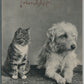 CAT & DOG FRIENDSHIP ANTIQUE POSTCARD