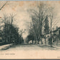 FLEMINGTON NJ MAIN STREET 1905 ANTIQUE POSTCARD