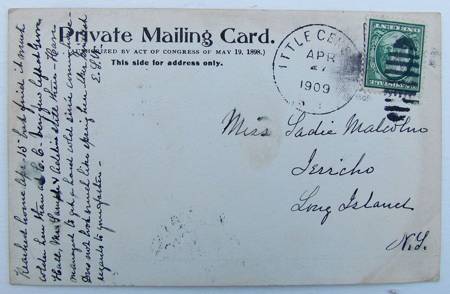 VINTAGE 1909 UNDIVIDED POSTCARD MAPLE RANCH AVENUE LITTLE GENESEE N.Y.