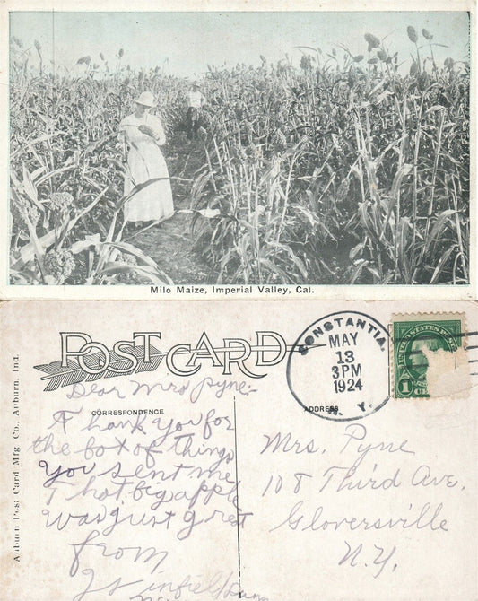 IMPERIAL CITY CA MILO MAIZE FARM SCENE 1924 ANTIQUE POSTCARD