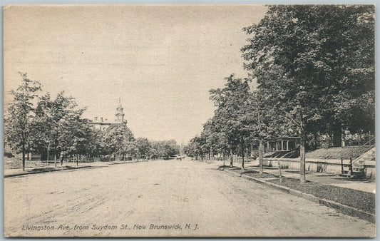 NEW BRUNSWICK NJ LIVINGSTON AVE. 1910 ANTIQUE POSTCARD