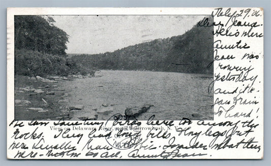 SPARROWBUSH NY DELAWARE RIVER ANTIQUE POSTCARD