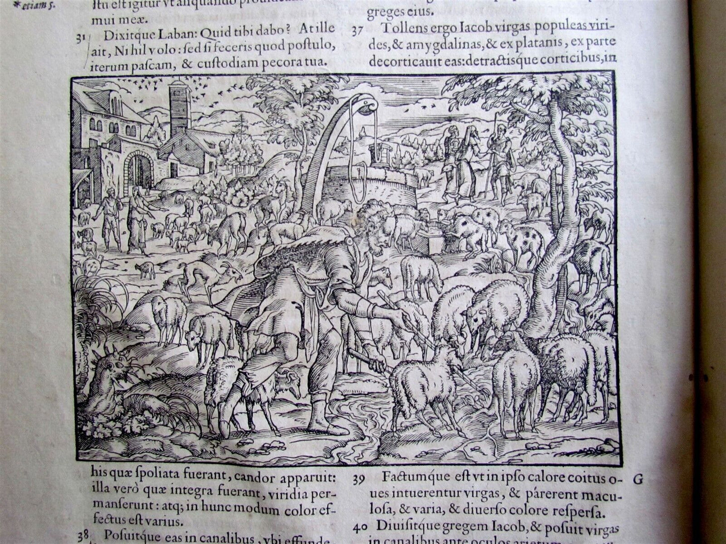 1566 BIBLE ILLUSTRATED by JOST AMMAN antique RARE Sigismund Feierabend FOLIO