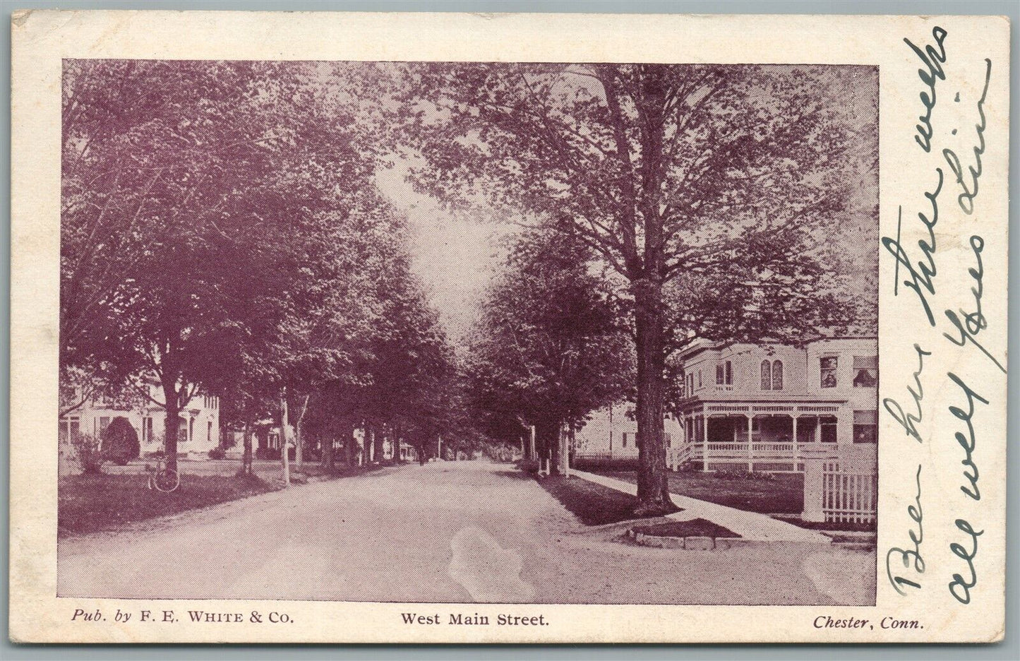 CHESTER CT WEST MAIN STREET ANTIQUE POSTCARD