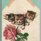 CATS in ENVELOPE ANTIQUE POSTCARD