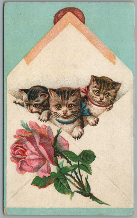 CATS in ENVELOPE ANTIQUE POSTCARD