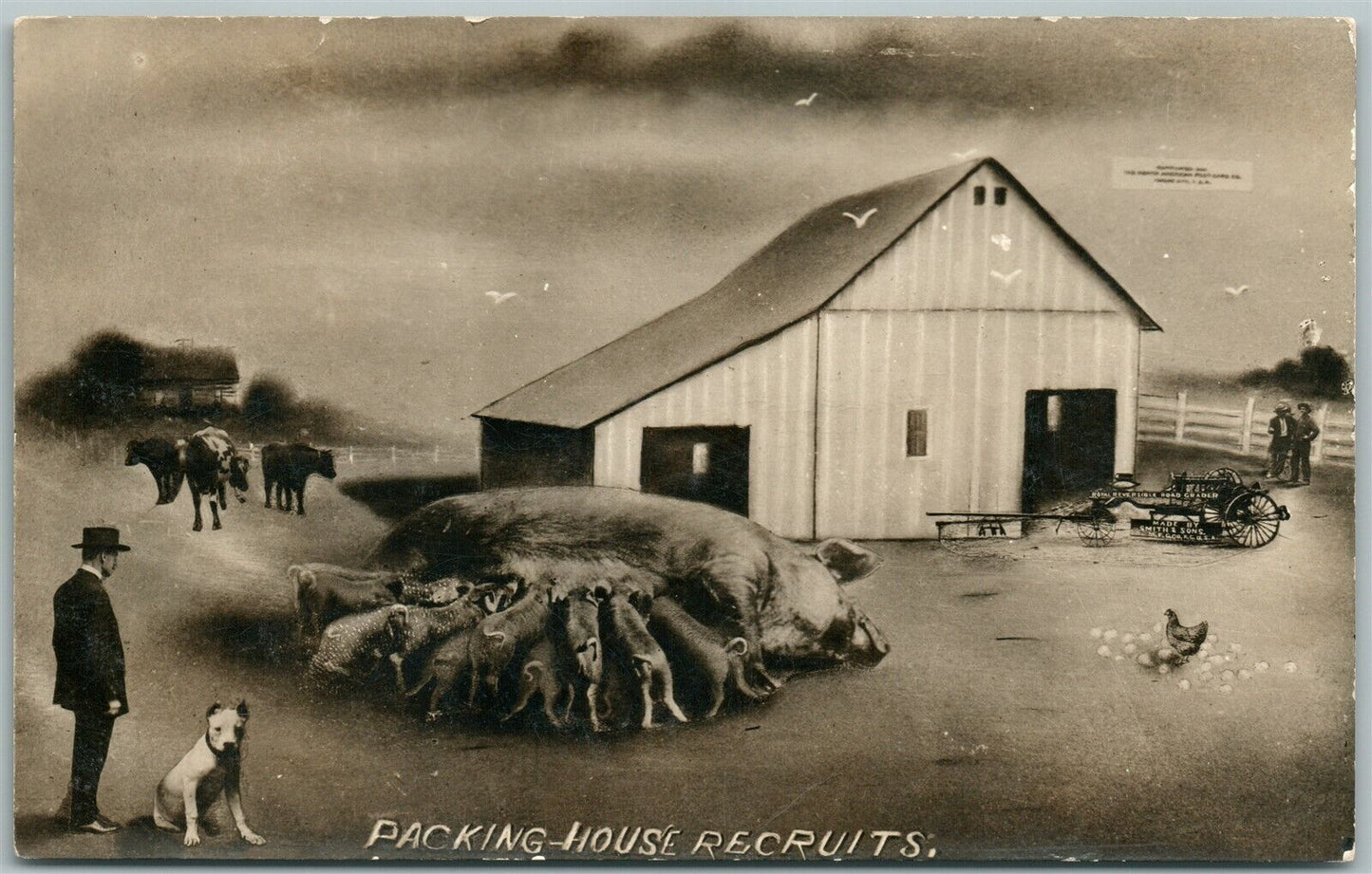 MOTHER PIG w/ PIGLETS PACKING HOUSE RECRUITS ANTIQUE REAL PHOTO POSTCARD RPPC