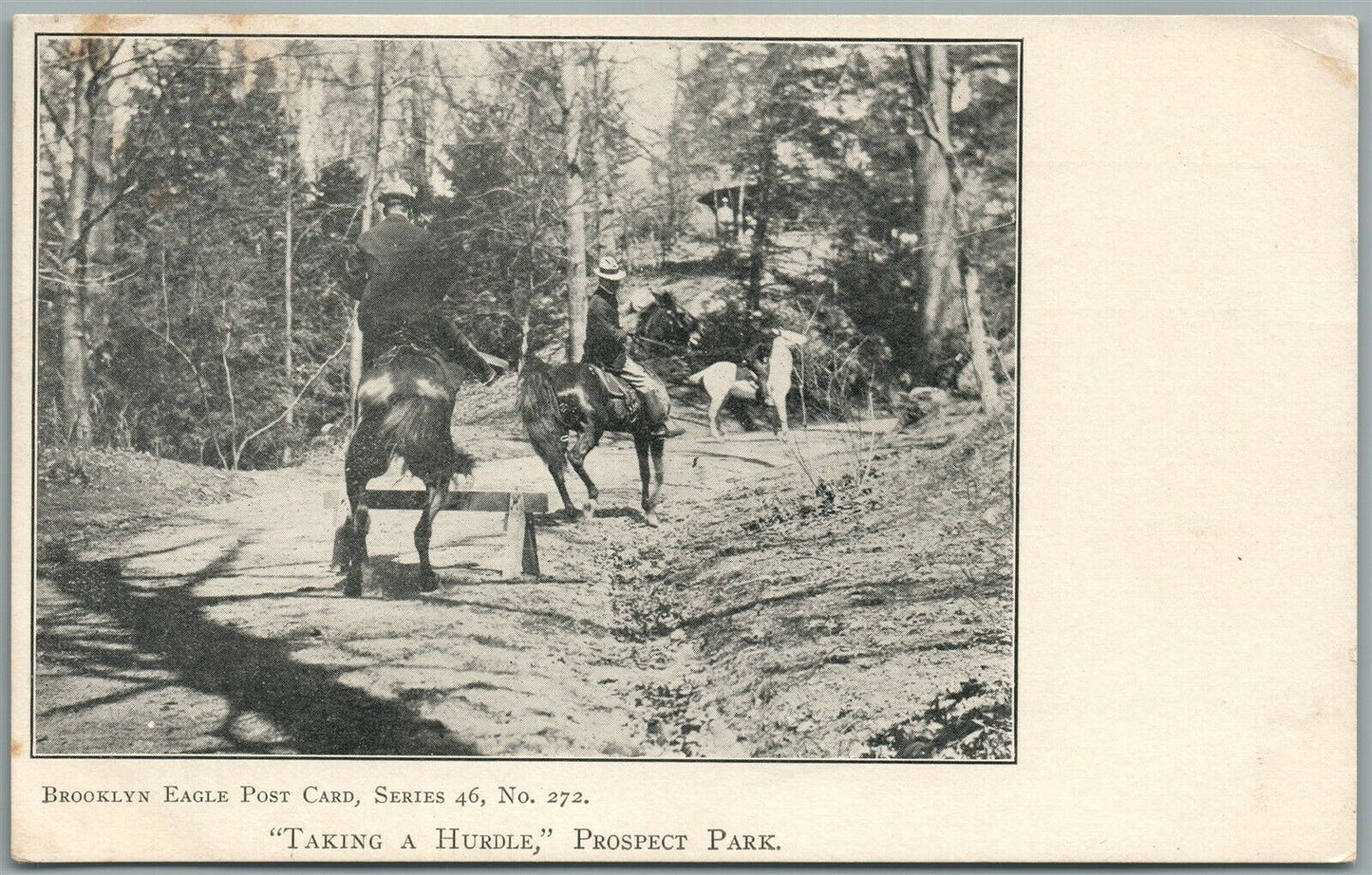 BROOKLYN NY PROSPECT PARK TAKING A HURDLE ANTIQUE POSTCARD