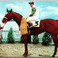 DELAWARE TOWNSHIP NJ GARDEN STATE PARK HORSE RACE VINTAGE POSTCARD