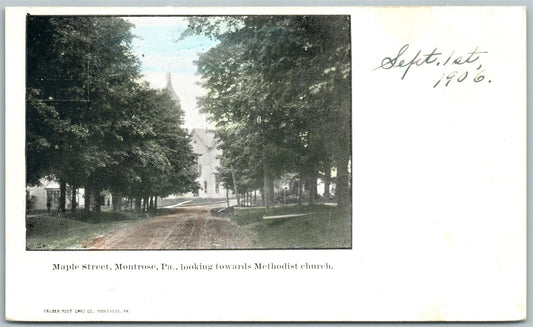 MONTROSE PA MAPLE STREET UNDIVIDED ANTIQUE POSTCARD