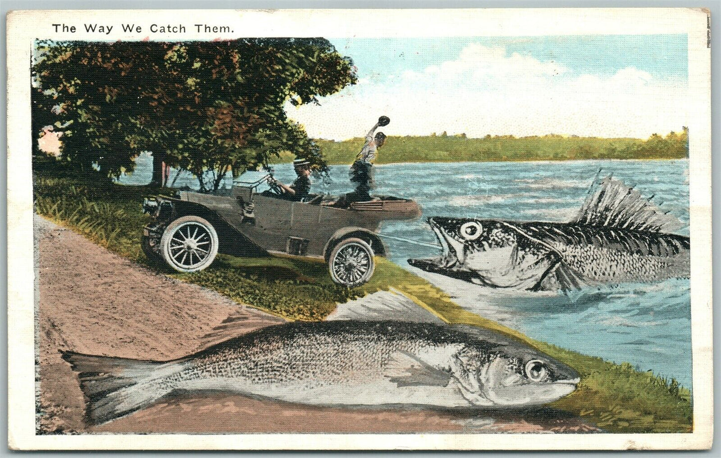 EXAGGERATED FISHING 1922 ANTIQUE POSTCARD THE WAY WE CATCH THEM