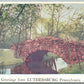LUTHERSBURG PA GREETINGS ANTIQUE POSTCARD