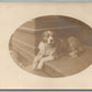 SERIOUS DOG ANTIQUE REAL PHOTO POSTCARD RPPC